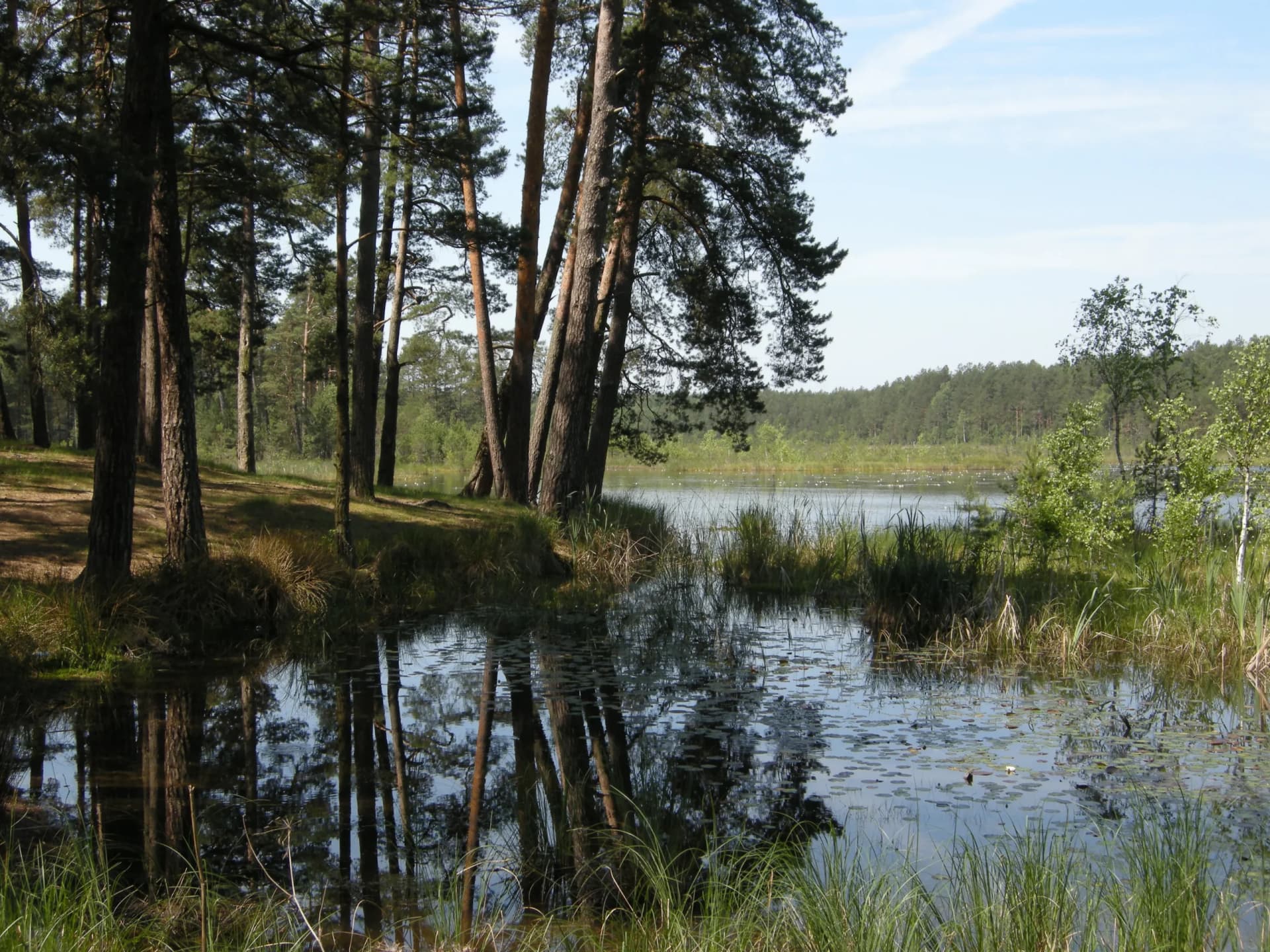 lake