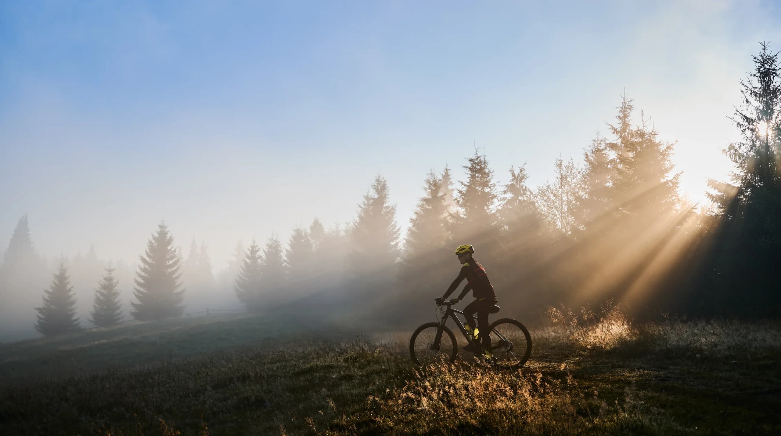 Man on the bycicle in the forest