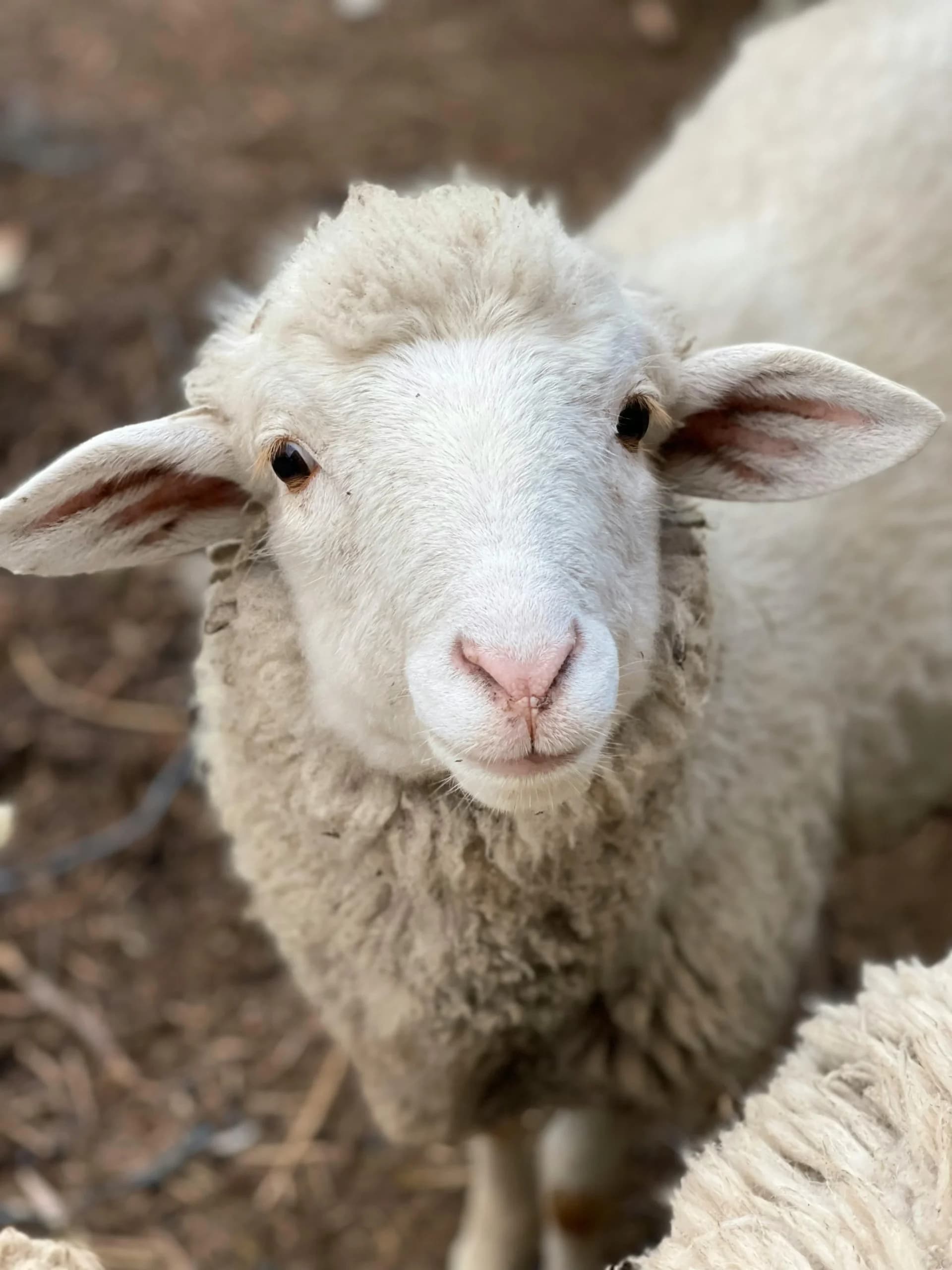 contact farm