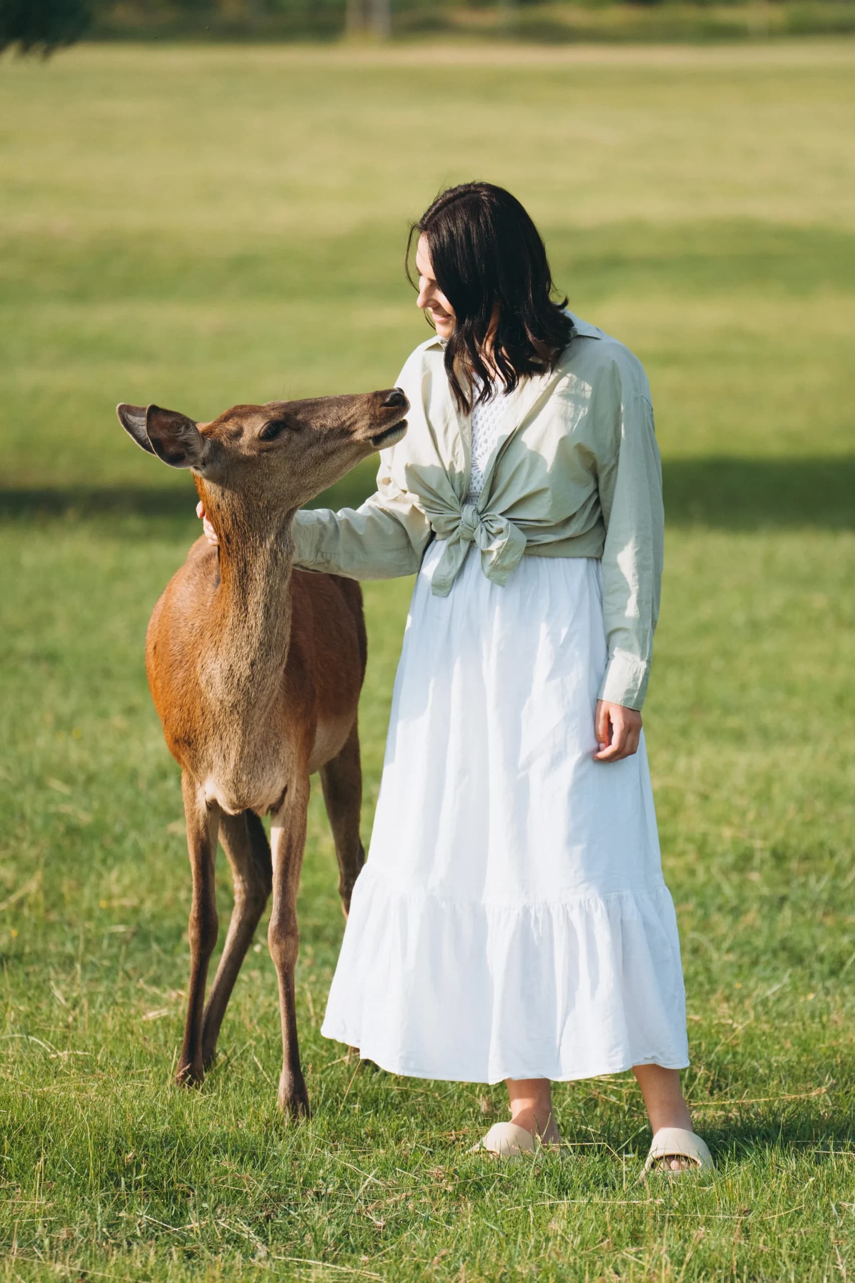 Human and deer